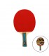 RAQUETA TENIS DE MESA SOFTEE `P050´