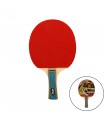 RAQUETA TENIS DE MESA SOFTEE `P050´